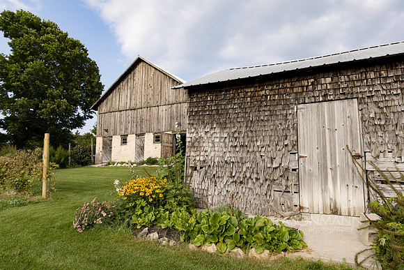 Williamson_0027