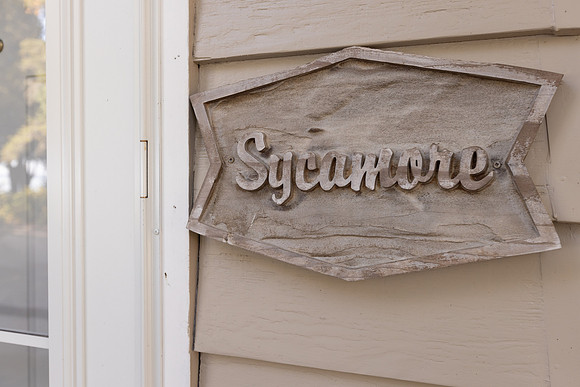 Sycamore#12_008