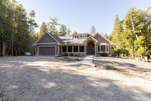 WhiteBirch_047