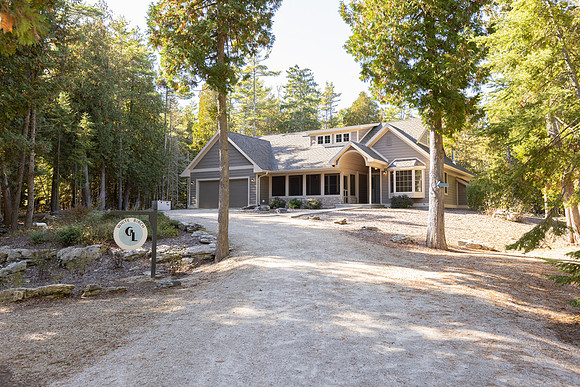 WhiteBirch_044