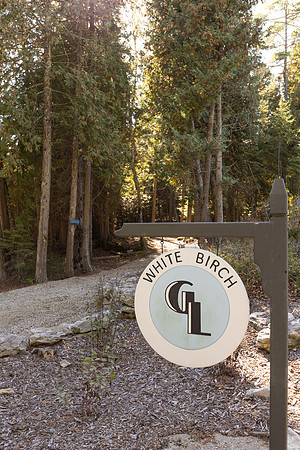 WhiteBirch_050